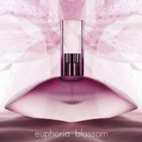 cK euphoria blossom