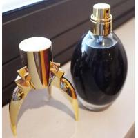 Lady Gaga Fame