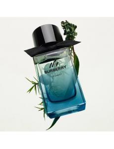 Mr. Burberry Element Burberry